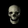 Insert Spinning Skull